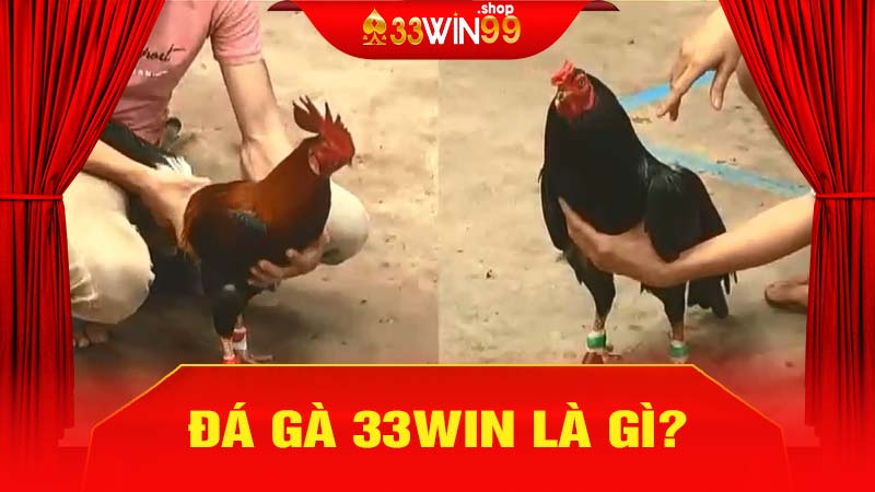 Đá gà 33win là gì?