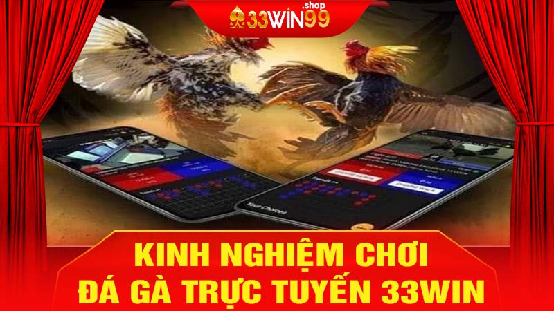 Kinh nghiệm chơi đá gà 33win tối ưu tiền thắng