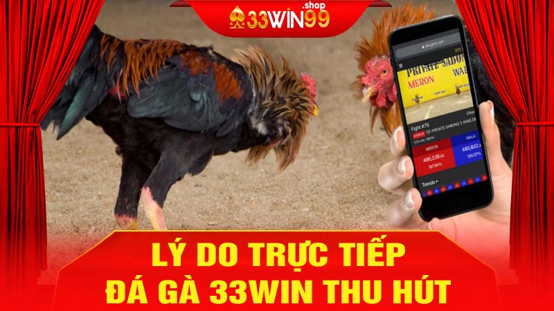 Lý do trực tiếp đá gà 33win thu hút người xem