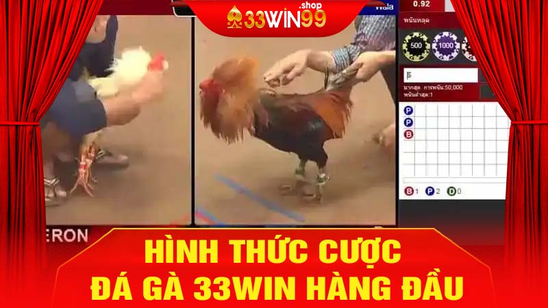 Hình thức cược đá gà 33win hàng đầu